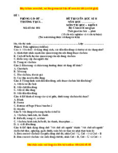 Đề thi giữa kì 2 Tin học 8 Chân trời sáng tạo (Đề 1)