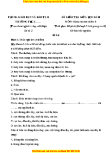 Đề thi giữa kì 2 KHTN 8 Kết nối tri thức (nối tiếp) - Đề 2