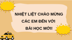 Giáo án Powerpoint Bài 14: Sự phát triển của cây con Khoa học lớp 5 Kết nối tri thức