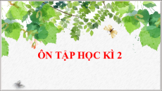 Giáo án Powerpoint Ôn tập học kì 2 Ngữ văn 9 Kết nối tri thức