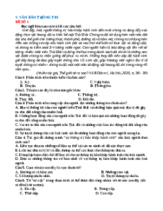10 Đề đọc hiểu Văn 6 Văn bản thông tin (cấu trúc mới)