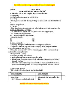 Giáo án Thực hành: Quan sát hình thái nhiễm sắc thể Sinh học 9
