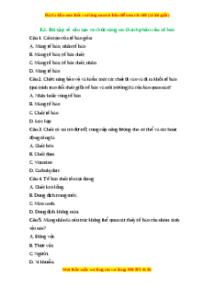 Trắc nghiệm Cấu tạo và chức năng các thành phần của tế bào KHTN 6 Kết nối tri thức