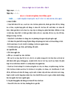 Giáo án Văn bản thông tin tổng hợp (2024) Cánh diều