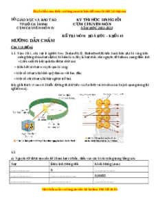 Đề HSG Hóa 10 Sở TP Hồ Chí Minh năm 2023 có đáp án