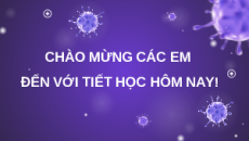 Giáo án Powerpoint Bài 30: Ứng dụng của virus trong y học và thực tiễn Sinh học 10 Chân trời sáng tạo