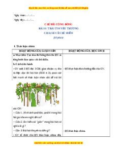 Giáo án Bài 11 Tiếng Việt lớp 4 Cánh diều: Trái tim yêu thương