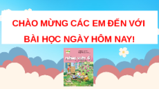 Giáo án Powerpoint Đọc: Vườn của ông tôi (trang 55, 56) Tiếng việt lớp 4 Kết nối tri thức (Phiên bản 2)