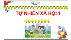 Giáo án Powerpoint Ôn tập chủ đề 1 Tự nhiên xã hội lớp 1 Cánh diều