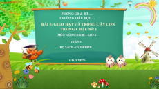 Giáo án Powerpoint Bài 5 Công nghệ lớp 4 Cánh diều: Gieo hạt và trồng cây con trong chậu
