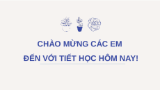 Giáo án Powerpoint Bài 8: Sử dụng và bảo quản phân bón Công nghệ trồng trọt 10 Kết nối tri thức