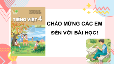 Giáo án Powerpoint Bài 13: Con vẹt xanh Tiếng việt lớp 4 Kết nối tri thức (Phiên bản 2)
