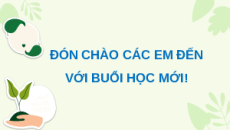 Giáo án Powerpoint Bài 5 GDCD 8 Kết nối tri thức: Bảo vệ môi trường và tài nguyên thiên nhiên