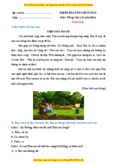 Bài tập cuối tuần Tiếng việt lớp 2 Tuần 19 Cánh diều (có lời giải)