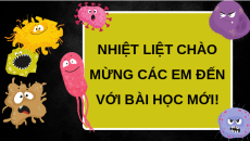 Giáo án Powerpoint Ôn tập chủ đề Vi khuẩn Khoa học lớp 5 Cánh diều