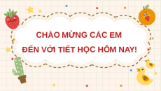 Giáo án Powerpoint Bài 15: Công việc được thực hiện theo điều kiện Tin học lớp 3 Kết nối tri thức