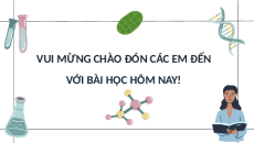 Giáo án Powerpoint Bài 21: Sinh học 10 Cánh diều: Khái niệm, cấu tạo và chu trình nhân lên của virus