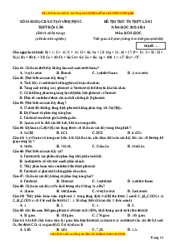 Đề thi thử tốt nghiệp Hóa học trường THPT Đội Cấn - Vĩnh Phúc lần 2 năm 2024