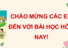 Giáo án Powerpoint Bài 19: Bạn trong nhà Tiếng việt lớp 2 Cánh diều