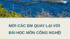 Giáo án Powerpoint Bài 24: Một số bệnh thủy sản phổ biến và biện pháp phòng trị Công nghệ 12 Kết nối tri thức