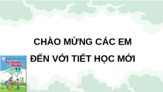 Giáo án Powerpoint Chủ đề 1 Bài 3 Tự nhiên xã hội lớp 2 Cánh diều: Phòng tránh ngộ độc khi ở nhà