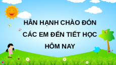 Giáo án Powerpoint Biểu đồ tranh (trang 102) Toán lớp 2 Kết nối tri thức (phiên bản 2)