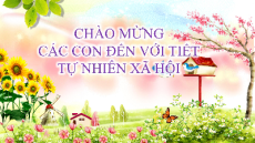 Giáo án Powerpoint Bài 26 Tự nhiên xã hội lớp 2 Chân trời sáng tạo: Các mùa trong năm