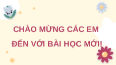 Giáo án Powerpoint Luyện từ và câu (trang 42, 43) Tiếng việt lớp 4 Chân trời sáng tạo (Phiên bản 2)