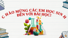 Giáo án Powerpoint Vật liệu polymer Hóa học 12 Kết nối tri thức