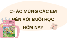 Giáo án Powerpoint Đọc: Con muốn làm một cái cây (trang 31, 32) Tiếng việt lớp 4 Kết nối tri thức (Phiên bản 2)