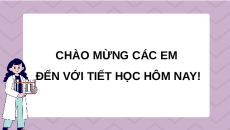 Giáo án Powerpoint Ôn tập chương 5  Sinh học 10 Chân trời sáng tạo