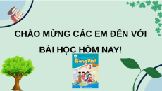 Giáo án Powerpoint Viết: Chính tả Tiếng việt lớp 3 Cánh diều