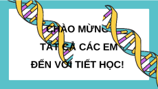 Giáo án Powerpoint Bài 25: Thực hành Sinh học 12 Kết nối tri thức