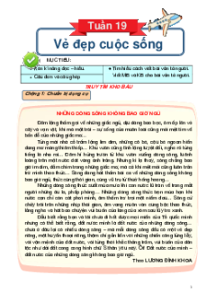 Bài tập cuối tuần Tiếng Việt lớp 5 Kết nối tri thức Học kì 2 (Phiên bản 2)