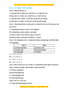 Trắc nghiệm Các phân tử sinh học Sinh học 10 Cánh diều