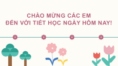 Giáo án Powerpoint Bài 2: Rừng ngập mặn Cà Mau Tiếng Việt lớp 2 Chân trời sáng tạo