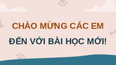 Giáo án Powerpoint Chuyên đề Bài 10: Chế biến thức ăn cho động vật cảnh Công nghệ chăn nuôi 11 Kết nối tri thức