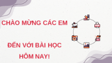 Giáo án Powerpoint Bài 27: Acetic acid KHTN 9 Kết nối tri thức