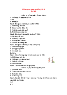 Bài tập Tiếng việt nâng cao lớp 4 Học kì 2