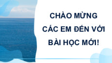 Giáo án Powerpoint Bài 20: Phát triển tổng hợp kinh tế và bảo vệ tài nguyên, môi trường biển đảo