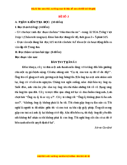 Đề thi cuối kì 1 Tiếng Việt lớp 3 Chân trời sáng tạo - Đề 3