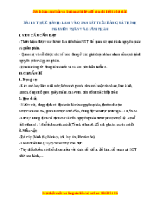 Lý thuyết Sinh học 10 Kết nối tri thức Bài 18: Thực hành làm và quan sát tiêu bản quá trình nguyên phân và giảm phân