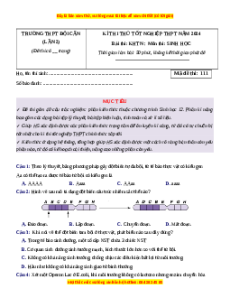 Đề thi thử tốt nghiệp Sinh học trường THPT Đội Cấn lần 2 năm 2024