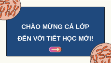 Giáo án Powerpoint Bài 6: Đột biến nhiễm sắc thể Sinh học 12 Cánh diều