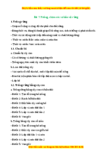 Lý thuyết Công nghệ 7 Chân trời sáng tạo Bài 7: Trồng, chăm sóc và bảo vệ rừng