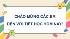 Bài giảng Powerpoint Chuyên đề Sinh học 10 Cánh diều