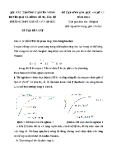 Đề thi HSG Hóa học 11 Trường THPT Chuyên Vĩnh Phúc