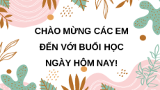 Giáo án Powerpoint Bài 17: Phương pháp bảo quản và chế biến thức ăn thủy sản Công nghệ 12 Kết nối tri thức