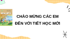 Giáo án Powerpoint Luyện từ và câu: Luyện tập về dấu gạch ngang (trang 127, 128) Tiếng việt lớp 4 Kết nối tri thức (Phiên bản 2)