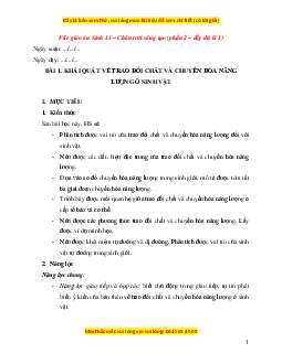 Giáo án Sinh học 11 Chân trời sáng tạo (năm 2025) | Giáo án Sinh học 11 mới, chuẩn nhất